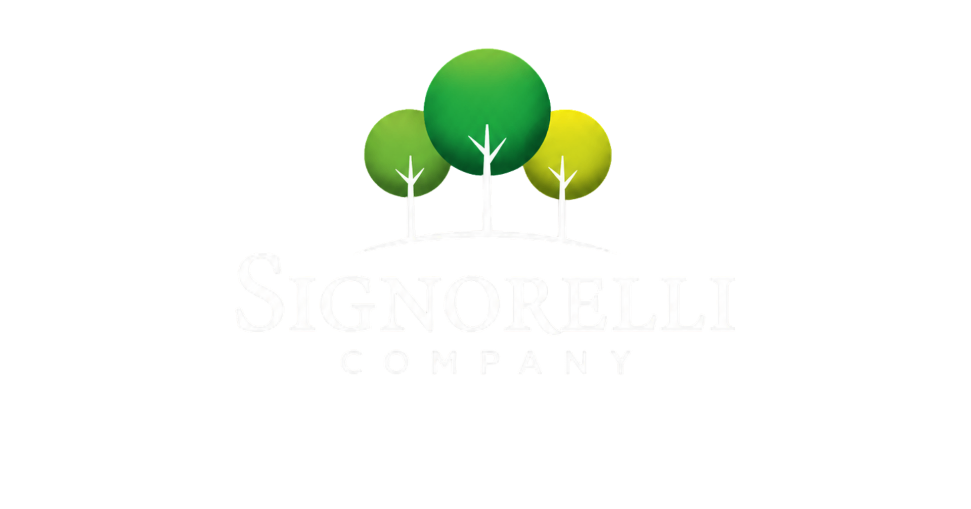 Signorelli Company